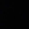 berenice_330